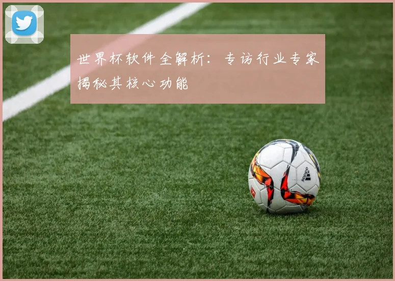 世界杯软件全解析:专访行业专家揭秘其核心功能
