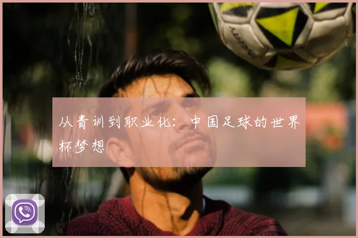 从青训到职业化:中国足球的世界杯梦想