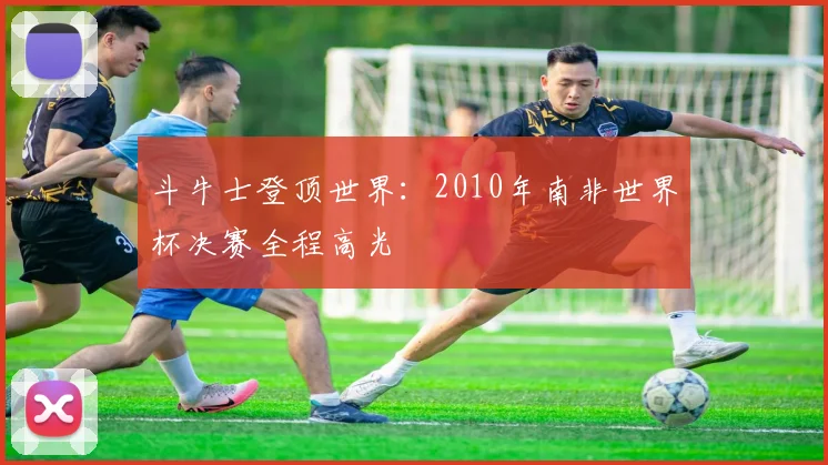 斗牛士登顶世界:2010年南非世界杯决赛全程高光