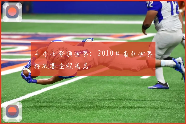 斗牛士登顶世界：2010年南非世界杯决赛全程高光